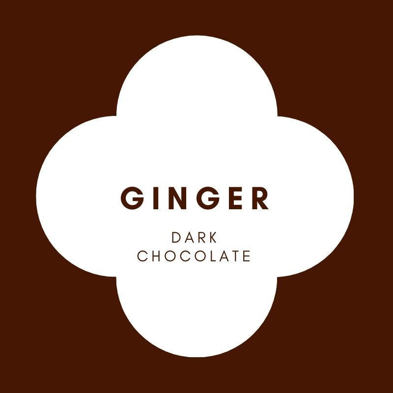 Disk | Ginger | French Dark Chocolate | 62% Cacao | 80g