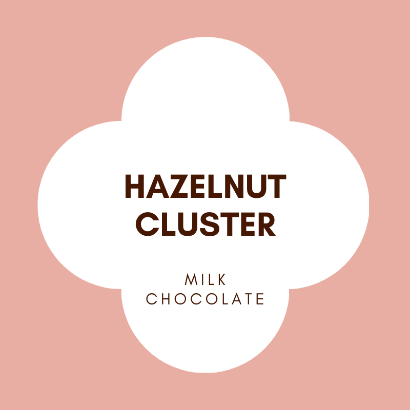 Hazelnut Clusters | French Milk Chocolate | 42% Cacao | 100g