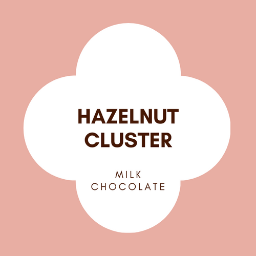 Hazelnut Clusters | French Milk Chocolate | 42% Cacao | 100g